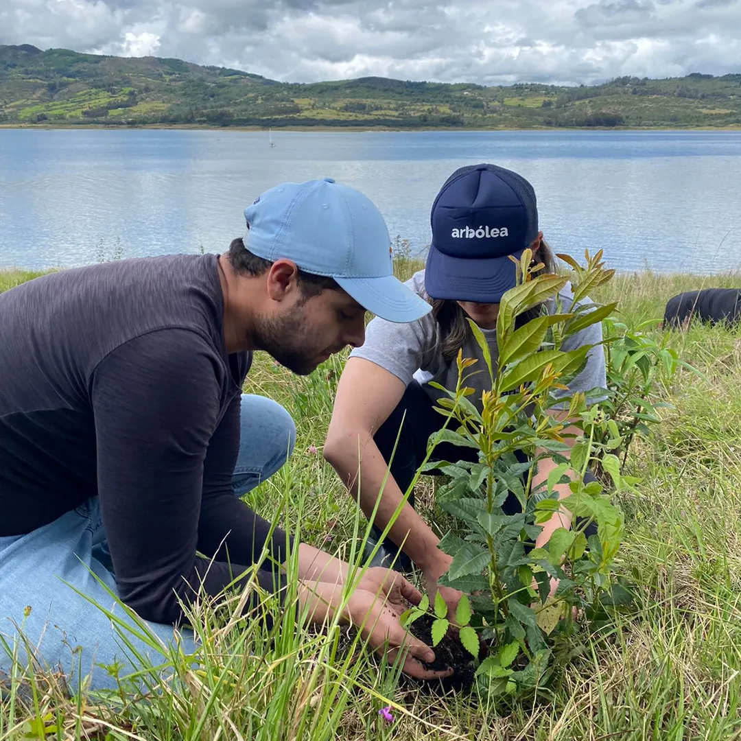 Comunidades transformadas por los programas de reforestación