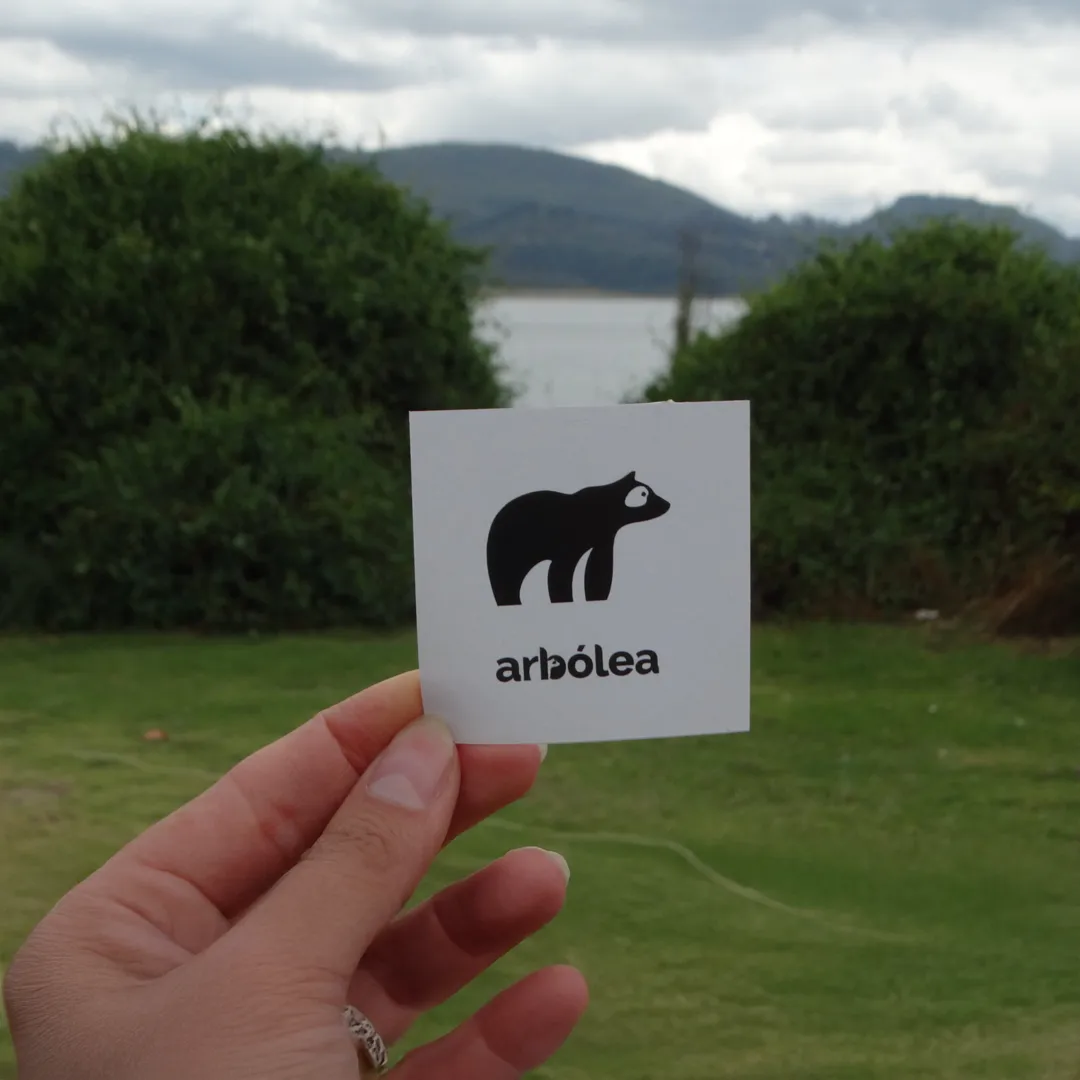 Voluntariado en Reforestación- Beneficios y Cómo Participar