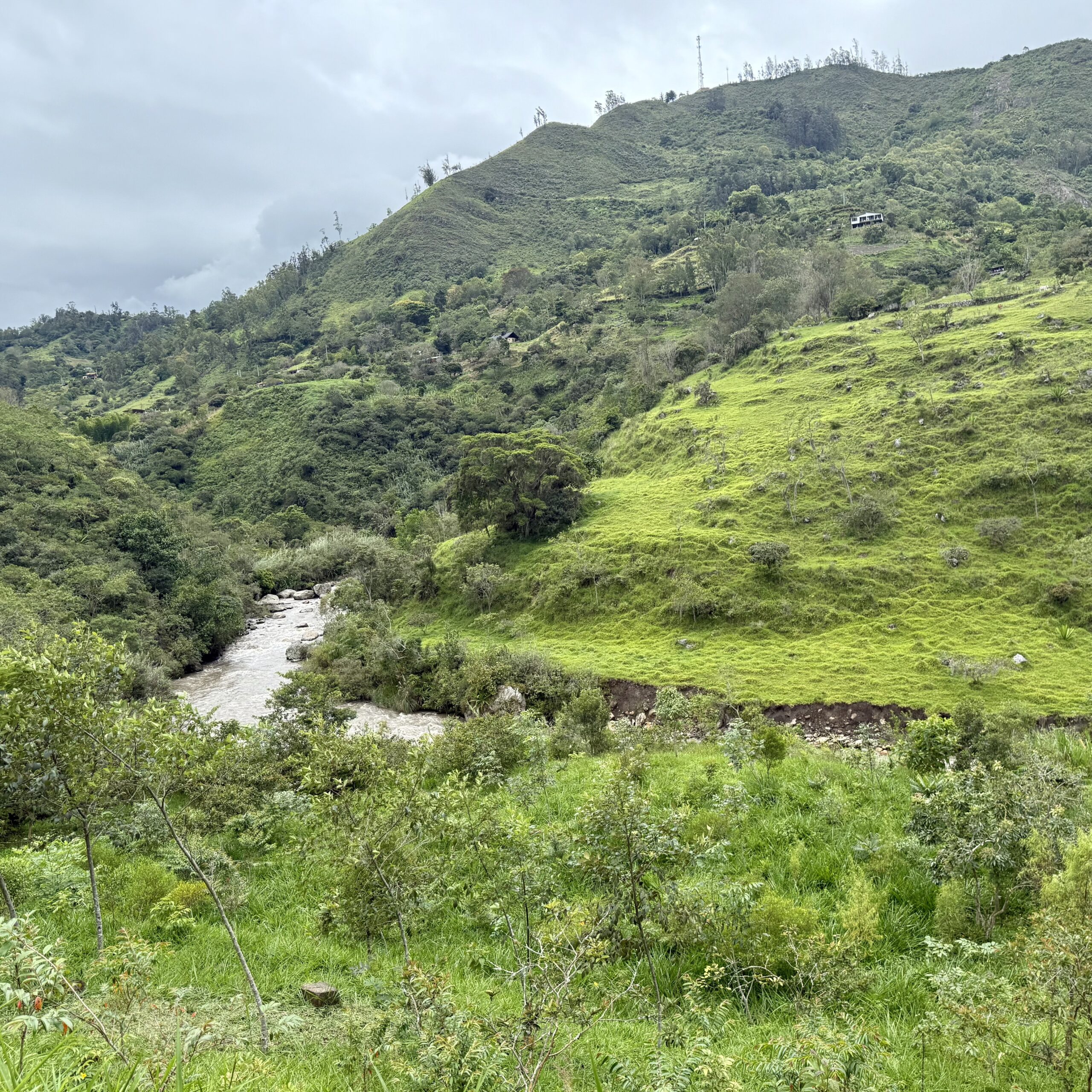 Regenerar el agua con restauracion ecologica