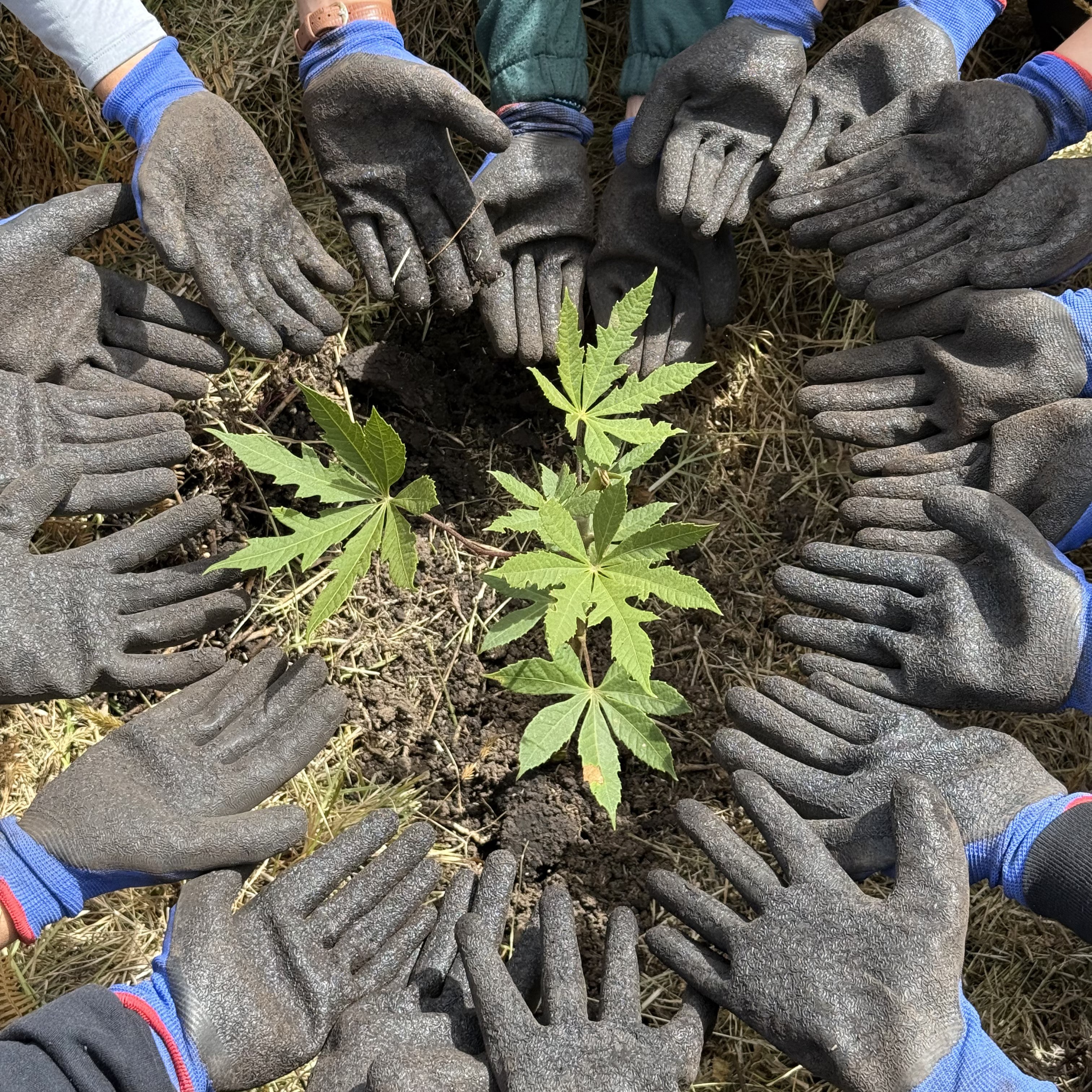 Ley 2173 de 2021 guía práctica para las empresas