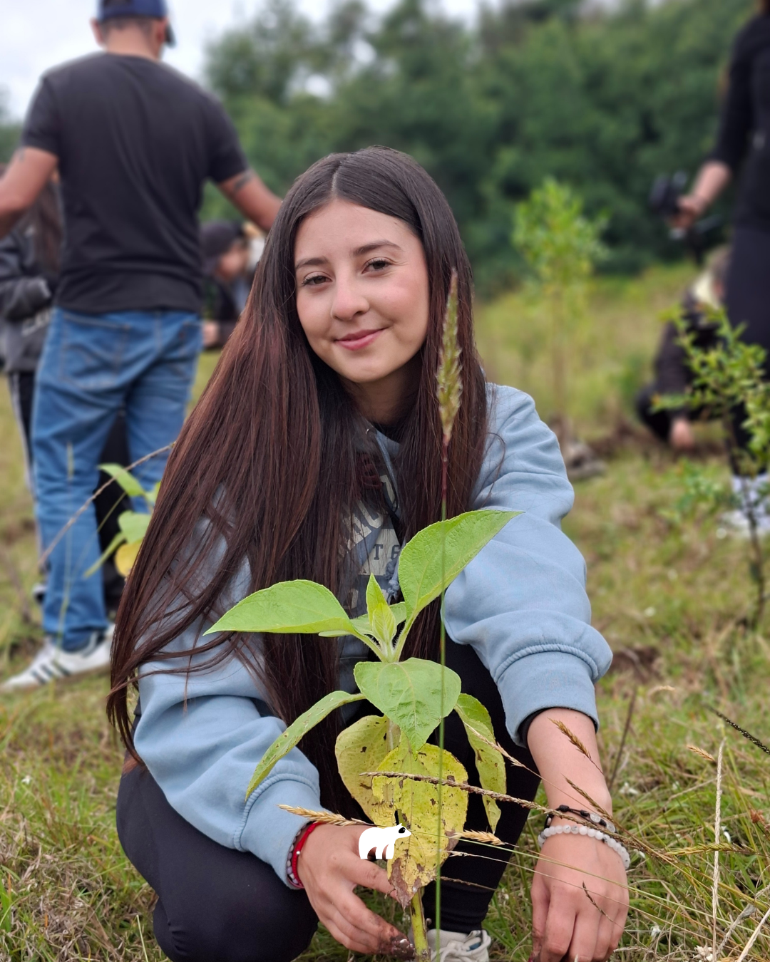 Uso de tecnología sustentable en el hogar en proyecto Arbólea