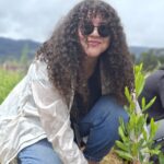 recuperación de ecosistemas en bosque nativo
