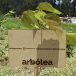 recuperación de ecosistemas en bosque nativo